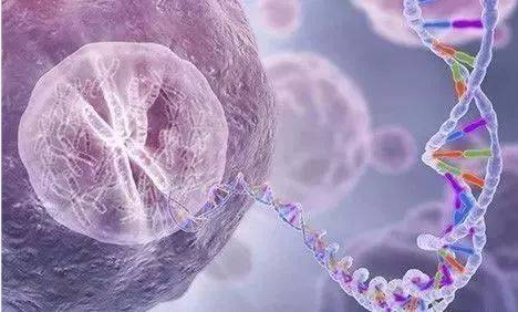 烈冰助力snRNA-Seq||震驚！凍存樣本也能做單細(xì)胞？