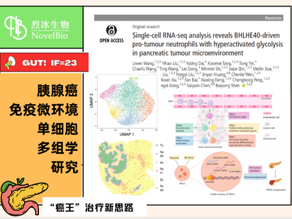 GUT重磅來(lái)襲！單細(xì)胞+空轉(zhuǎn)+免疫熒光的王炸組合，烈冰助力交大醫(yī)學(xué)院研究團(tuán)隊(duì)解析胰腺癌免疫微環(huán)境