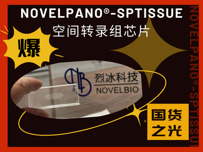 國產(chǎn)之光！烈冰智造成功開發(fā)空間轉(zhuǎn)錄組50μm級點(diǎn)陣芯片