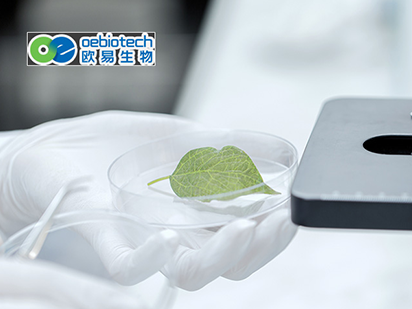 歐易生物與烈冰科技達(dá)成企業(yè)級生物云計(jì)算平臺(tái)聯(lián)合開發(fā)戰(zhàn)略合作！